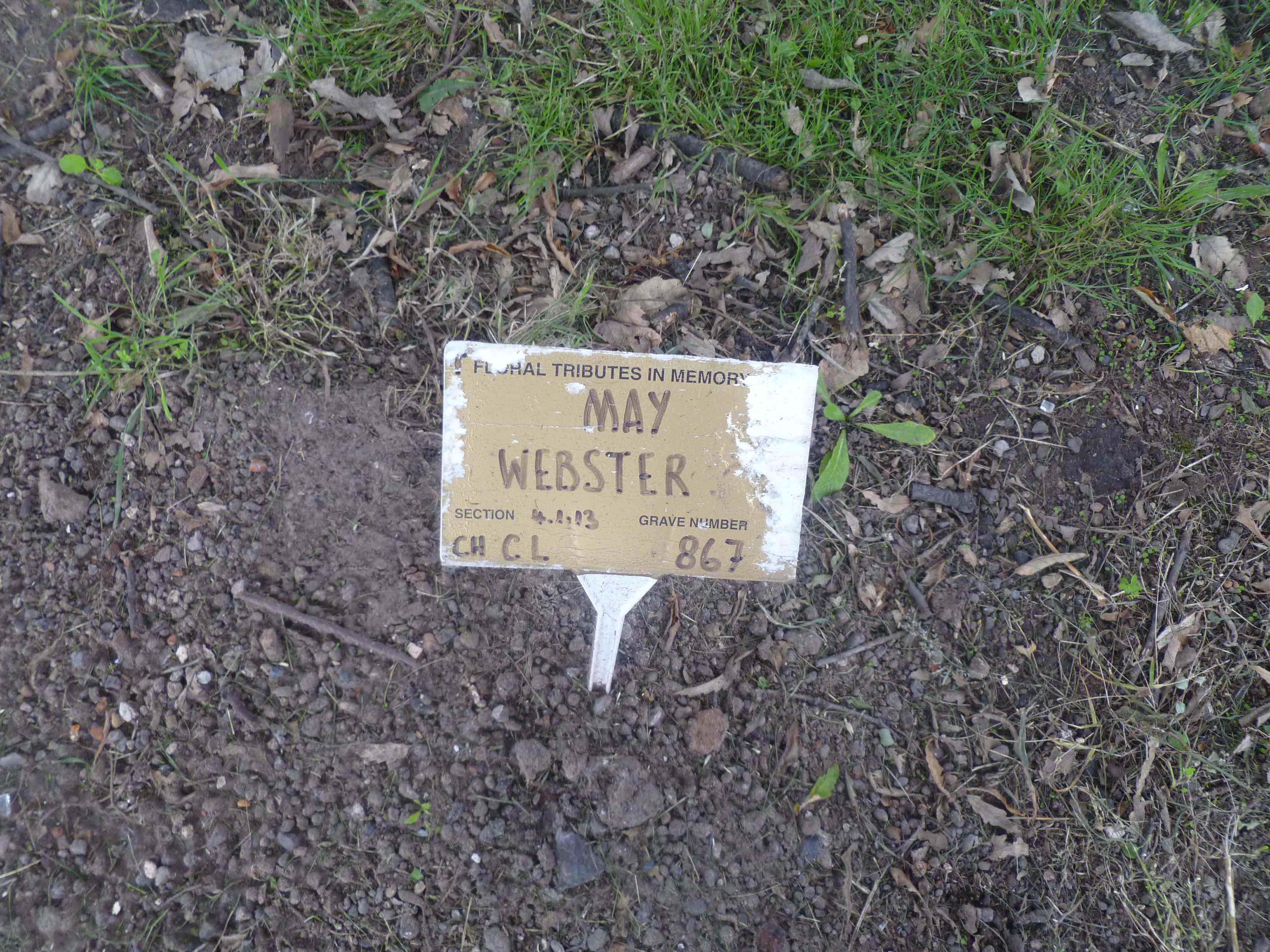 Webster (C Left 867)